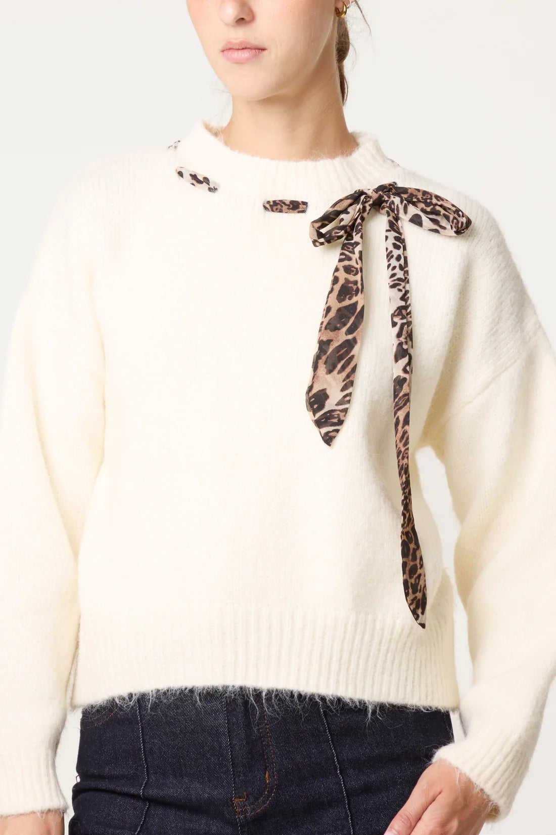 Leopard Neck Tie