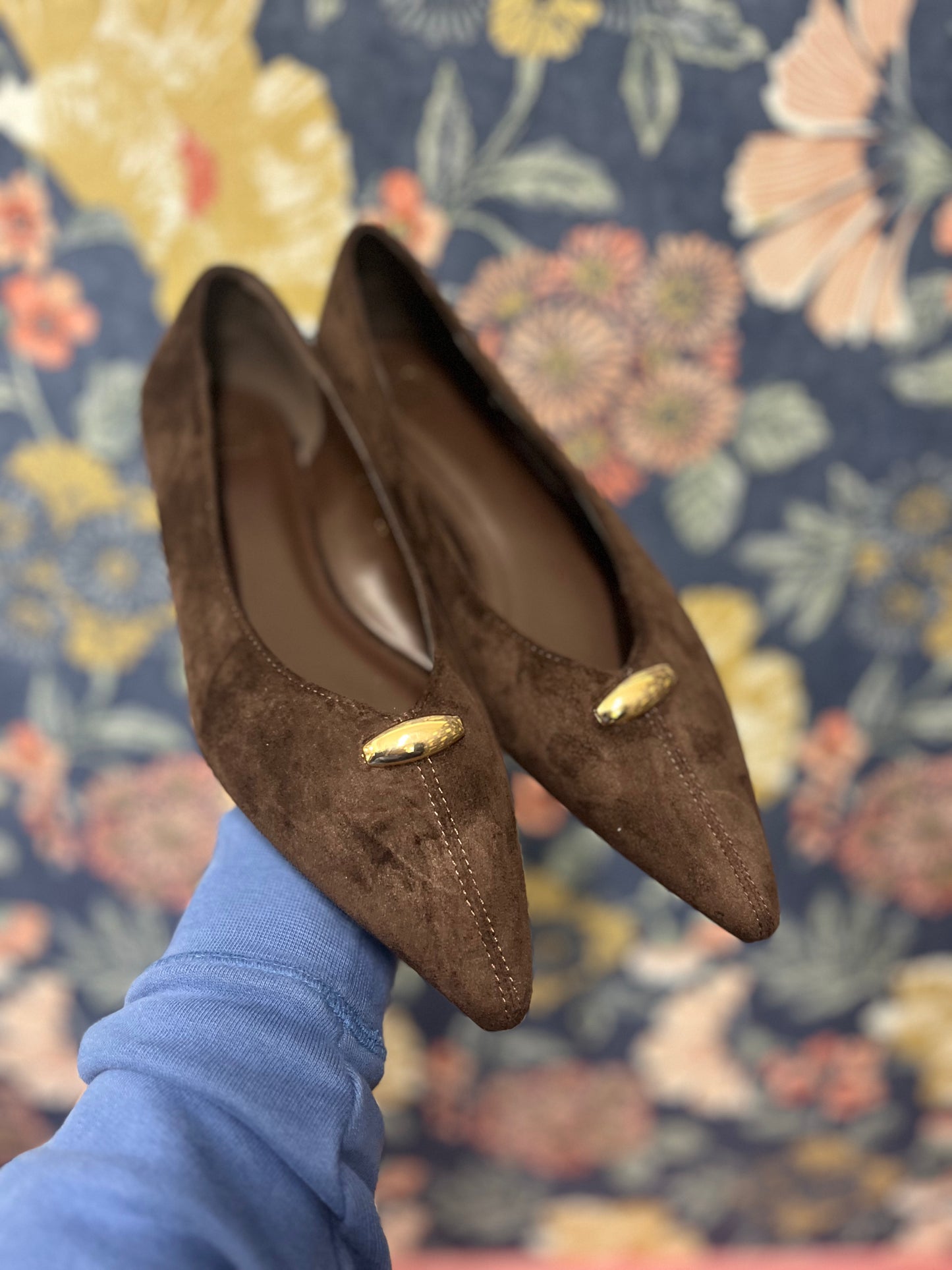 Daisy Dolly Brown